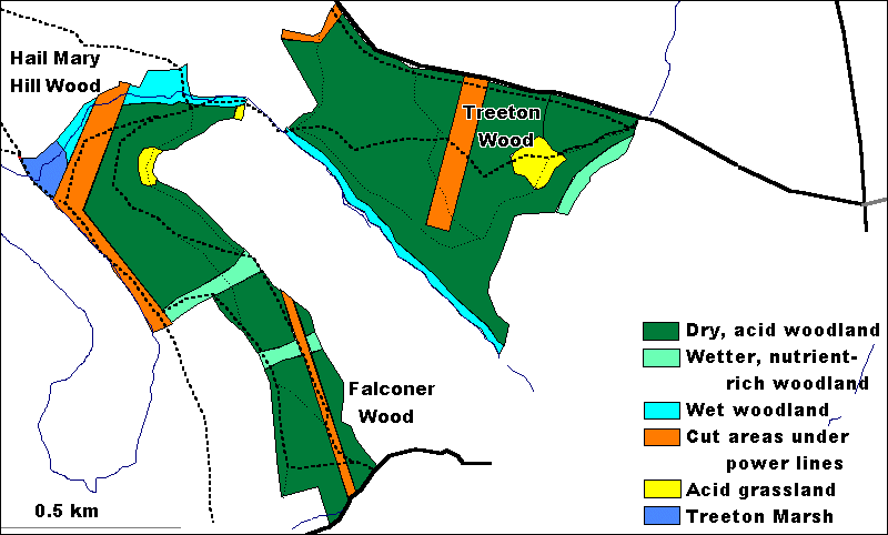 Hail Mary Hill & Falconer Woods - vegetation map